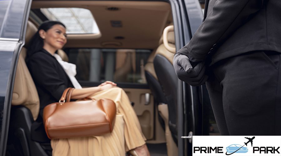 businesswoman-getting-taxi-cab (1)