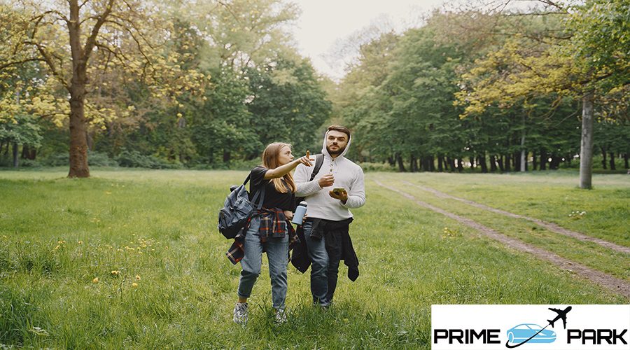 Tourists in a summer forest. Girl in a black t-shirt. Man use a phone.