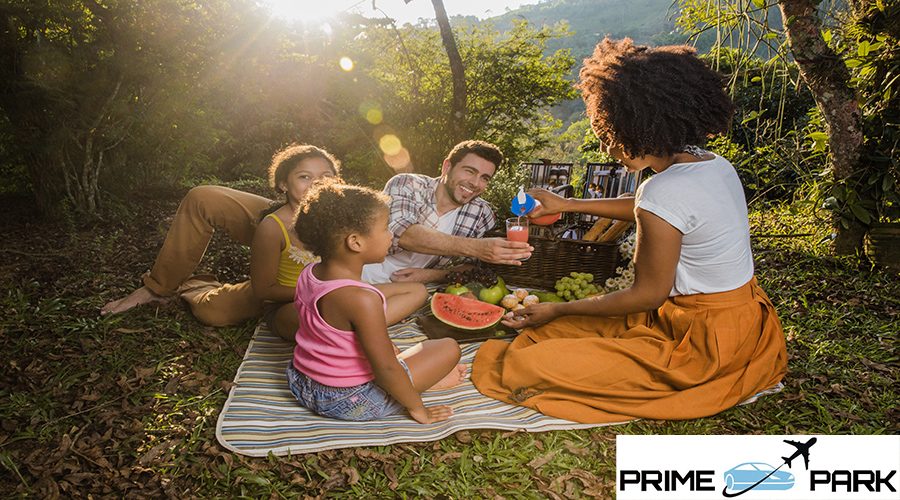 family-having-weekend-picnic