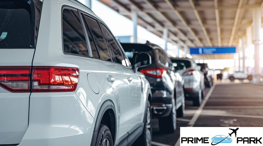 Row of Parked Cars in a Sunny Parking Lot